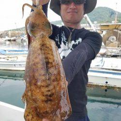 Magic(マジック) 釣果