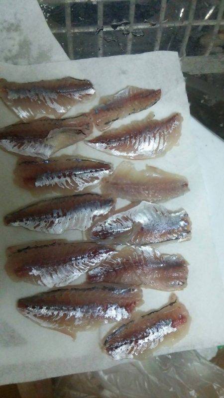 初めて自分で捌いてみた!!