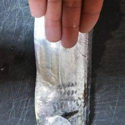 夕間づめのみの釣行