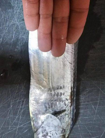 夕間づめのみの釣行