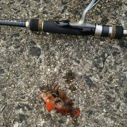 のんびりと投げ釣り