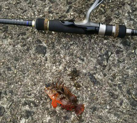 のんびりと投げ釣り