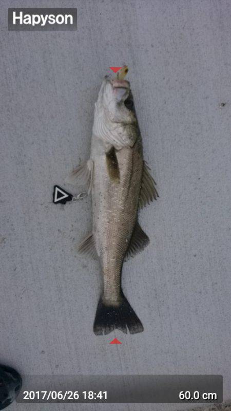 トップシーバスゲーム