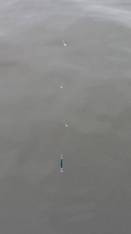 南芦屋浜ベランダ