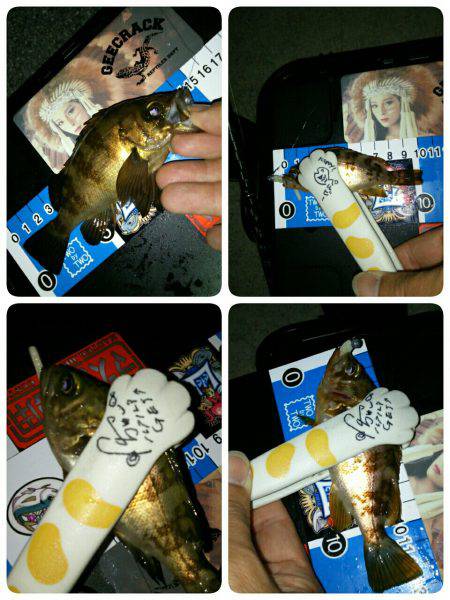 ６月９日はロックナイト？(笑)