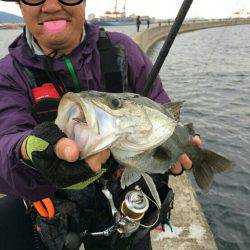 銀物やけど何か?