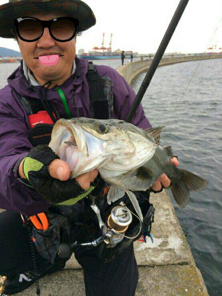 銀物やけど何か?