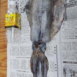 7連敗からの1杯