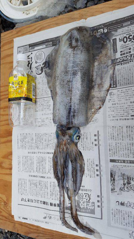 7連敗からの1杯