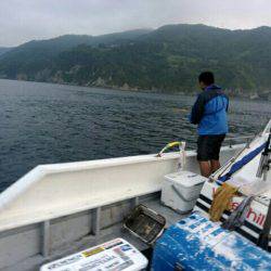 根魚＆イカメタル