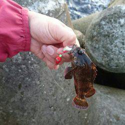 初めての穴釣り