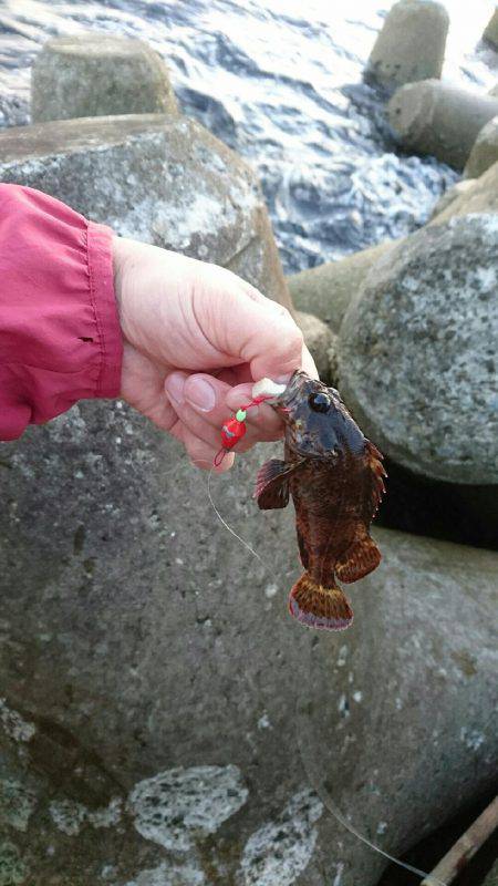 初めての穴釣り