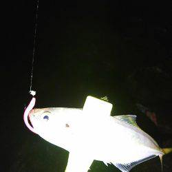 サーフのライトゲーム