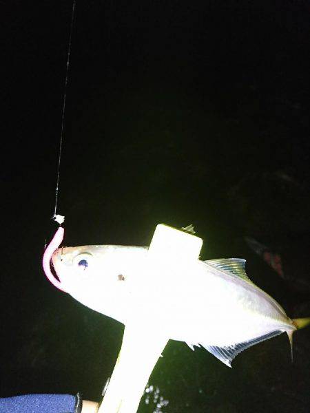 サーフのライトゲーム