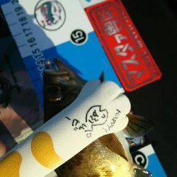 サイトフィッシング!デイライトゲームで5目達成♪