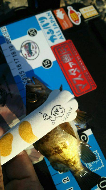 サイトフィッシング!デイライトゲームで5目達成♪