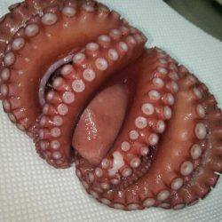 釣れない時期・・・にしとこう(笑)