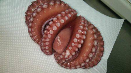 釣れない時期・・・にしとこう(笑)