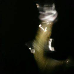 雨上がりライトゲーム