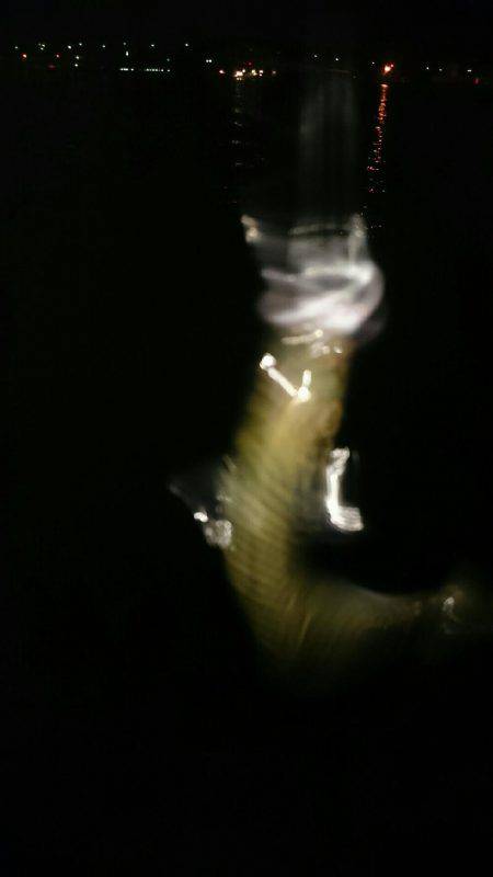 雨上がりライトゲーム