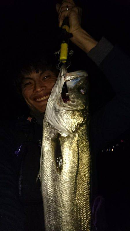 本命……悪戦苦闘……のはずが