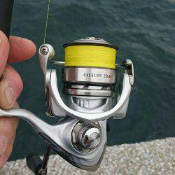 続 弱い者いじめ