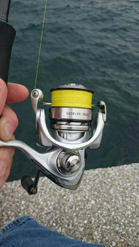 続 弱い者いじめ