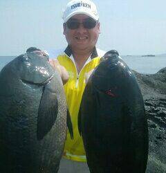 赤島１級磯にて梅雨グレ爆釣
