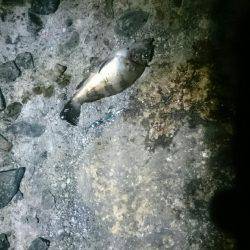 そんなに甘くない