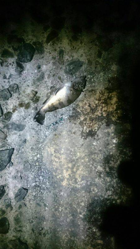 そんなに甘くない