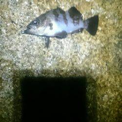 雨にも負けず。