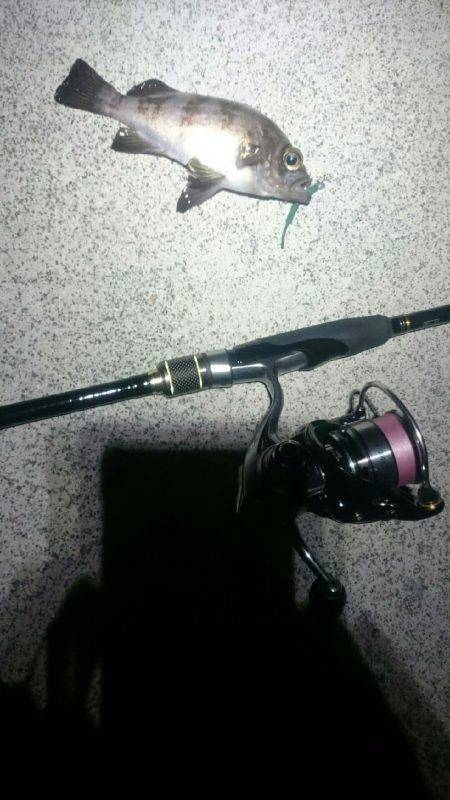 そろそろかな。