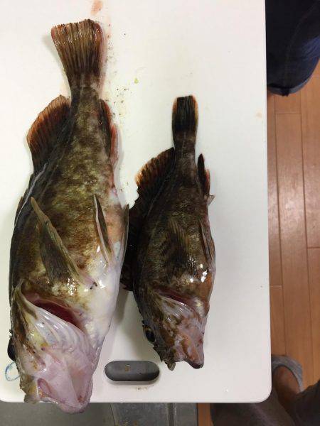 市内でガシリング！