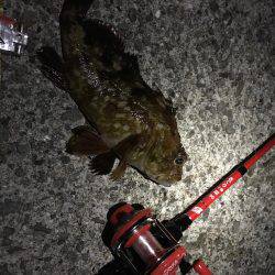 穴釣りロッドで初釣行