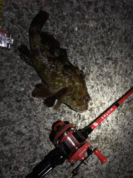 穴釣りロッドで初釣行