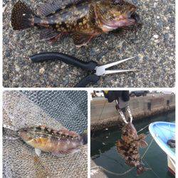 清水港 江尻埠頭、巴川河口、貯木場 チヌ落とし込み