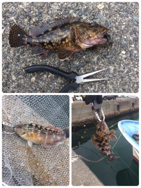 清水港 江尻埠頭、巴川河口、貯木場 チヌ落とし込み