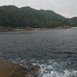 43.5センチのグレが釣れた