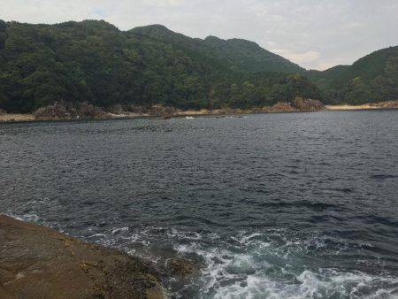 43.5センチのグレが釣れた