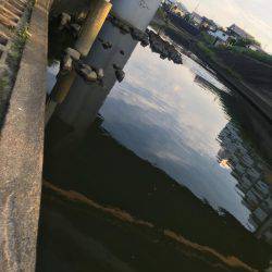 ダイソー釣具でカープフィッシング★