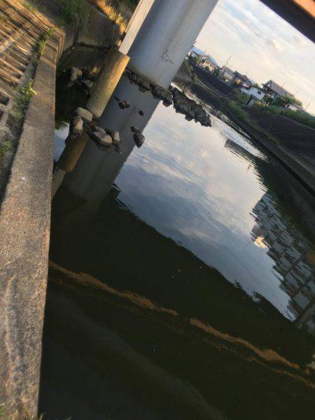 ダイソー釣具でカープフィッシング★