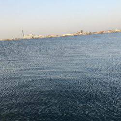 もう、勘弁して下さい！