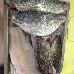 フロートゲーム