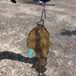 悔しい…キロオーバー…