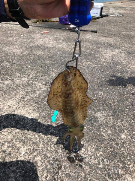 悔しい…キロオーバー…