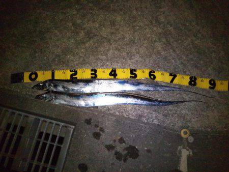 サーべリング♪