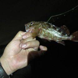 強風の為穴釣り