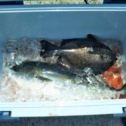 6月の海上釣堀オーパ!!