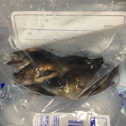 オトコの夜釣り（笑）