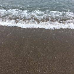 小さいけど釣れました。